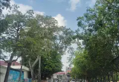 Lô góc 3 mặt thoáng tại khu Lâm Động, P. Thiên Hương, Hải Phòng... Bán đất tại Thiên Hương, Hải Phòng 02
