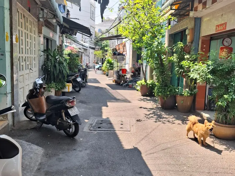 👉QUẬN 6- HỒNG BÀNG $ 3.95 TL
👉DT:24 M2 (3.1× 7.8) 
👉Diện tích sàn 49m2
✅ Kết cấu: Số tầng: 2 (gồ... Bán nhà riêng tại Phú Lâm, Hồ Chí Minh 01