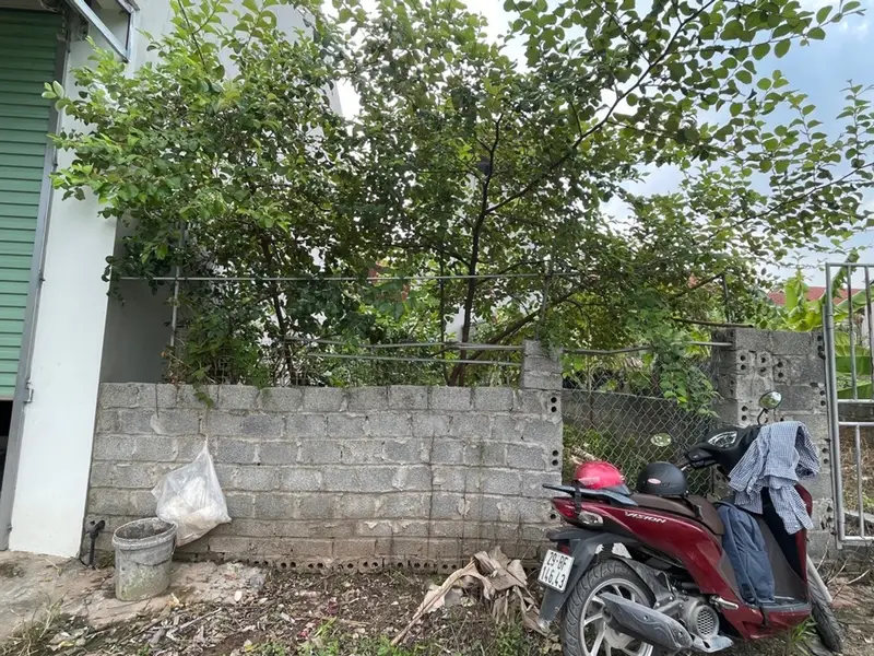 Đất vàng Phi Liệt cho nhà đầu tư thông thái... Bán đất tại Văn Giang, Hưng Yên 01