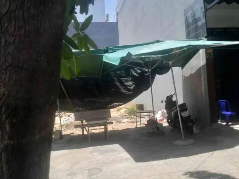 Cơ hội sở hữu đất vàng Tôn Đản, vị trí đắc địa giá đầu tư hiếm có... Bán đất tại An Khê, Đà Nẵng 01