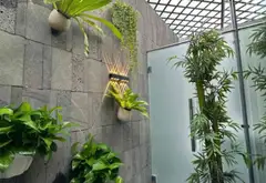 Nhà phố 5 tầng thang máy sang trọng tại phường Đông Hòa, TP HCM... Bán nhà mặt phố tại Đông Hòa, Hồ Chí Minh 04
