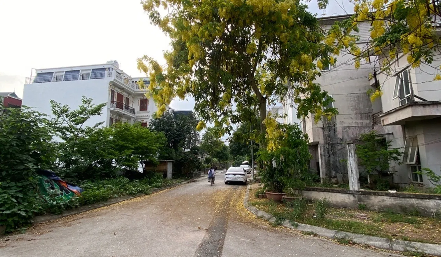 🔥🔥 BIỆT THỰ SONG LẬP TÂN TÂY ĐÔ – 176M² | MẶT TIỀN 9M | 3 TẦNG + TUM | SỔ ĐỎ CHÍNH CHỦ 🔥🔥... Bán biệt thự, liền kề tại Ô Diên, Hà Nội 01