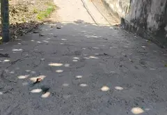 Nhà 3PN 3WC hẻm xe hơi 4m quận 12 giá 3 tỷ... Bán nhà riêng tại An Phú Đông, Hồ Chí Minh 02