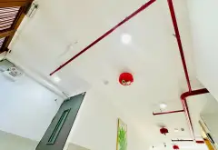 Cần bán toà nhà căn hộ dịch vụ cao cấp tại Lê Đức Thọ, Gò Vấp... Bán nhà riêng tại An Hội Đông, Hồ Chí Minh 11
