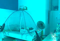 Bán nhà riêng 178.8m2 6PN khu Bàu Cát Quận Tân Bình giá 21 tỷ... Bán nhà riêng tại Tân Bình, Hồ Chí Minh 01