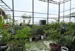 🔥 NHÀ NGANG KHỦNG 5.6M – NỞ HẬU 10M – KHU TÊN LỬA, BÌNH TÂN 🔥... Bán nhà riêng tại An Lạc, Hồ Chí Minh 09