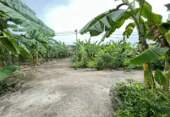 Đất mặt tiền rộng, vị trí trung tâm hành chính, ô tô vào nhà thuận tiện... Bán đất tại Lê Ích Mộc, Hải Phòng 03