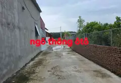 Bán đất 100m² tại Phú Hạ, Kim Anh, Sóc Sơn - Đất vuông vắn, ngõ ôtô, pháp lý đầy đủ... Bán đất tại Kim Anh, Hà Nội 04