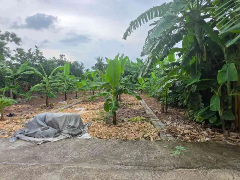 Cơ Hội Vàng Sở Hữu Đất Vàng Tại Hưng Yên - Chỉ 1,55 Tỷ!... Bán đất tại Chí Minh, Hưng Yên 01