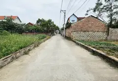 🌺ĐÓN SÓNG DỰ ÁN CON ĐƯỜNG 1500TỶ HÀ NỘI - ĐẠI LẢI - ĐƯỜNG THÔNG 2 OTO CON TRÁNH NHAU... Bán owner_side tại Kim Anh, Hà Nội 03