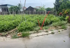 Đất Sổ Đỏ Đông Tảo Nam - Ô Tô Vào Tận Nơi
☎️ Hotline công hùng 0977 099 334... Bán đất tại Hoàn Long, Hưng Yên 05