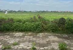 Đất đẹp Khu Phố Nối House giá đầu tư siêu hấp dẫn... Bán đất tại Nguyễn Văn Linh, Hưng Yên 05