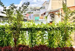Nhà mặt phố kinh doanh sầm uất, đường ô tô, thu nhập ổn định... Bán nhà mặt phố tại Tân Sơn Nhất, Hồ Chí Minh 08