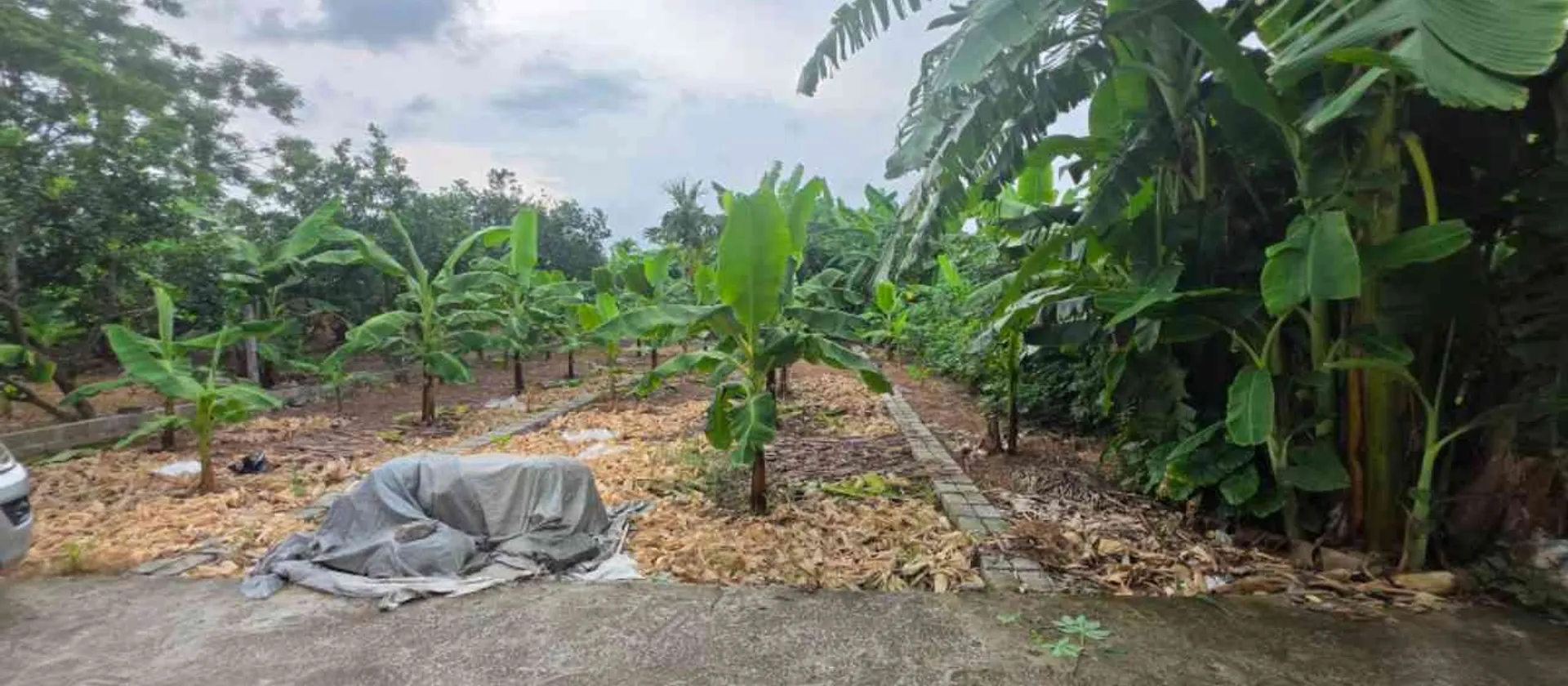 Cơ Hội Vàng Sở Hữu Đất Vàng Tại Hưng Yên - Chỉ 1,55 Tỷ!... Bán đất tại Chí Minh, Hưng Yên 01