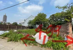 Bán đất thổ cư tại Văn Môn, Yên Phong - Mặt tiền 5m, ôtô vào tận đất... Bán đất tại Chi Lăng, Bắc Ninh 05