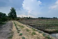 Đất rộng Kênh A - Bình Chánh giá tốt cho đầu tư... Bán đất tại Bình Lợi, Hồ Chí Minh 01