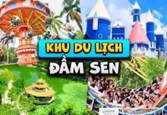 B.an Nh.à KẾ ĐẦM SEN - 162M2 (ngang 5.4 x chân dài 25m - NỞ HẬU 9.5 - HẺM 6M THÔNG - CHỈ 16.X TỶ -... Bán nhà riêng tại Hòa Bình, Hồ Chí Minh 08
