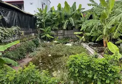 HÀNG HIẾM MỄ SỞ – NGÕ Ô TÔ – KHU DÂN CƯ GIÀU CÓ – DỄ CHỐT

Lô đất tại xã Mễ Sở, tỉnh Hưng Yên (địa... Bán đất tại Mễ Sở, Hưng Yên 06