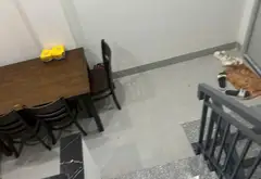 TÒA CĂN HỘ 4 TẦNG – DÒNG TIỀN 90TR/THÁNG – PHỐ TÂY AN THƯỢNG 93.8m² - 25 tỷ 0762,658,925... Bán chung cư mini tại Ngũ Hành Sơn, Đà Nẵng 06