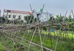 💥HIẾM 💥ĐẤT PHÂN LÔ MẶT TIỀN RỘNG, Ô TÔ NGỦ TRONG ĐẤT - XÃ HOÀN LONG- TỈNH HƯNG YÊN 💥💥💥... Bán đất tại Hoàn Long, Hưng Yên 09