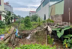 Bán đất thôn Công Luận 2, xã Văn Giang, Hưng Yên - diện tích 126,1 m2, ô tô vào đất... Bán đất tại Văn Giang, Hưng Yên 07