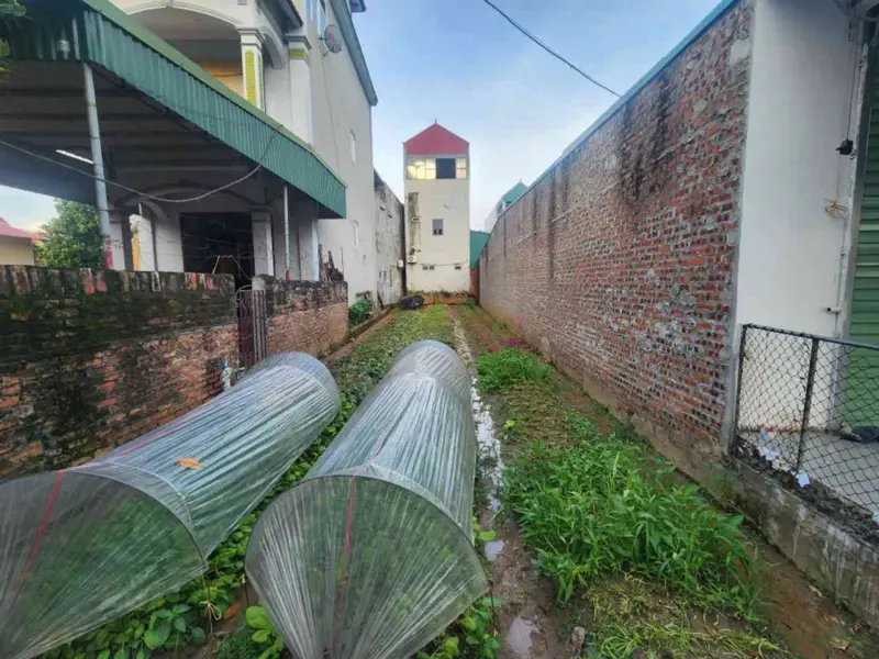 Bán đất 151m2 tại xã Đại Thịnh, mặt ngõ ô tô, giá 4.3 tỷ... Bán đất tại Quang Minh, Hà Nội 01