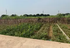 Bán đất phân lô xã Triệu Việt Vương, Hưng Yên, mặt tiền rộng, pháp lý đầy đủ... Bán đất tại Triệu Việt Vương, Hưng Yên 01