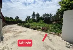 Cơ hội sở hữu đất vàng 89m2 vị trí đắc địa, đường ô tô rộng rãi tại khu vực sôi động... Bán đất tại Sóc Sơn, Hà Nội 07