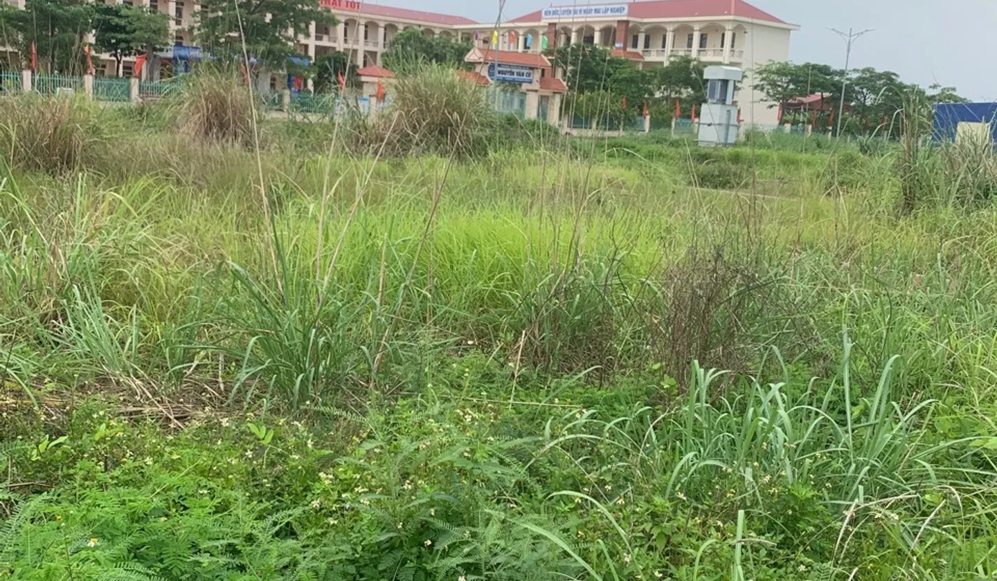 Đất nền vuông vắn thôn 5 Thủy Sơn, hướng Đông Nam, cơ hội đầu tư tiềm năng... Bán đất tại Thủy Nguyên, Hải Phòng 01