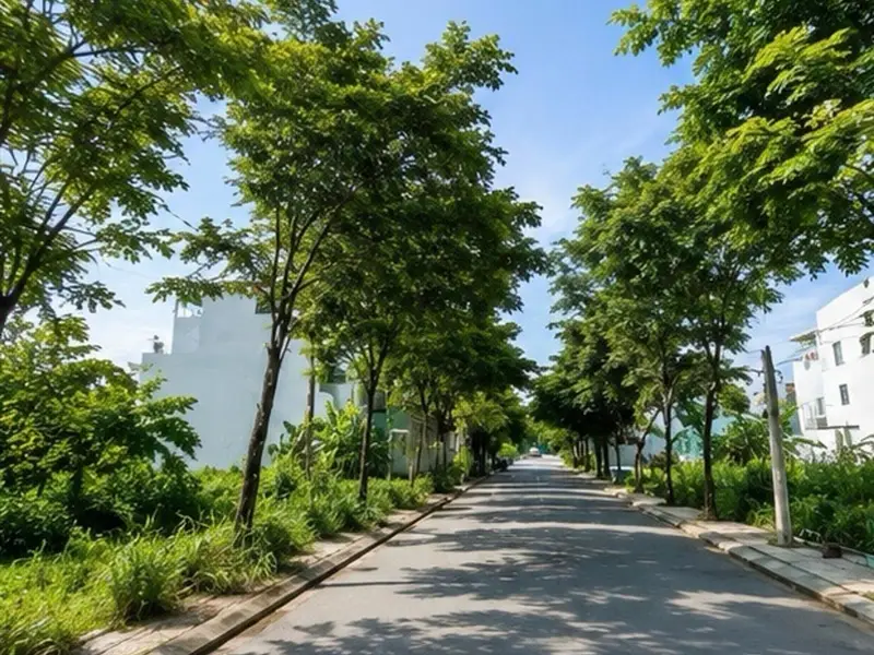 Mua Bán đất gần Chợ Long Trường, đường trước nhà 5m, pháp lý rõ ràng, 56,5m² hướng Tây Nam... Bán đất tại Long Phước, Hồ Chí Minh 01