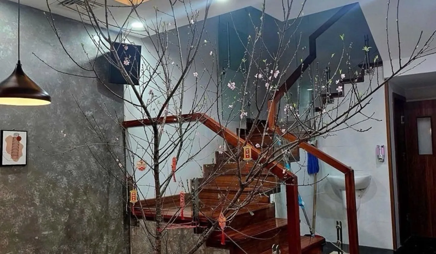 Nhà phố sang trọng tại phường Việt Hưng, Hà Nội với thiết kế tối ưu đa năng... Bán nhà mặt phố tại Việt Hưng, Hà Nội 01