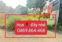 Đất đẹp Yên Trung - Tiềm năng sinh lời cực cao... Bán đất tại Yên Trung, Bắc Ninh 04