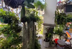 Nhà riêng 2 tầng tại phường An Hội Tây với thiết kế tiện nghi và vị trí thuận lợi... Bán nhà riêng tại An Hội Tây, Hồ Chí Minh 20