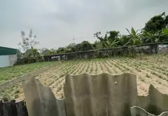 Bán đất mặt tiền 7m tại Mai Hiên, diện tích 117m2, pháp lý rõ ràng... Bán đất tại Đông Anh, Hà Nội 01