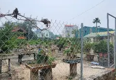 Bán đất thôn 3 Xuân Quan, Văn Giang diện tích 69m² sát KĐT Ecopark... Bán nhà riêng tại Tân Hưng, Hưng Yên 04