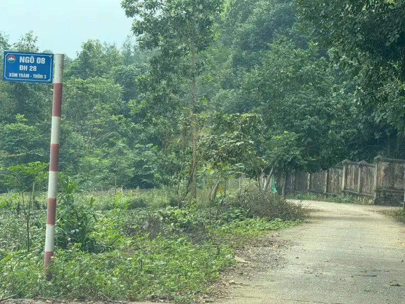 Đất Suối Hai rộng rãi, tiềm năng nghỉ dưỡng đỉnh cao... Bán đất tại Suối Hai, Hà Nội 01