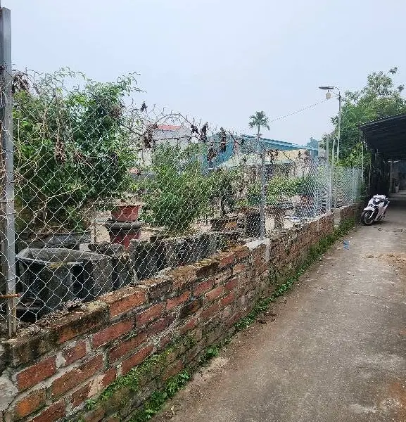 Bán đất thôn 3 Xuân Quan, Văn Giang diện tích 69m² sát KĐT Ecopark... Bán nhà riêng tại Tân Hưng, Hưng Yên 01