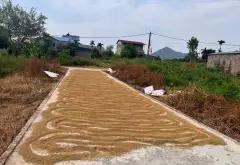 Đất vàng Phú Thịnh, mặt tiền rộng, tiện nghi đầy đủ... Bán đất tại Kim Anh, Hà Nội 09