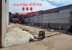 Bán đất Phù Khê diện tích 41m² mặt tiền rộng, pháp lý cơ sở... Bán đất tại Phù Khê, Bắc Ninh 13