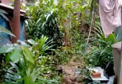 Nhà hai mặt tiền khu trung tâm Tân Bình - Tiện kinh doanh, giá hợp lý... Bán nhà riêng tại Bảy Hiền, Hồ Chí Minh 04