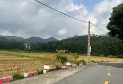 Mặt tiền 6.3m tại xã Phù Linh, huyện Sóc Sơn, gần Quốc lộ 3... Bán đất tại Sóc Sơn, Hà Nội 03