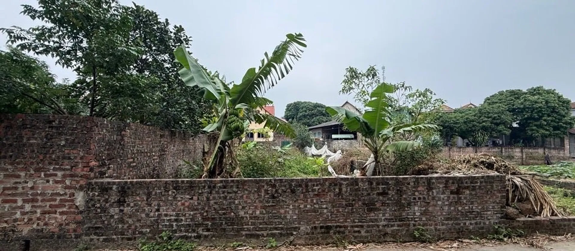 Cơ hội hiếm có sở hữu đất phân lô đường ô tô tránh Minh Phú... Bán đất tại Kim Anh, Hà Nội 01