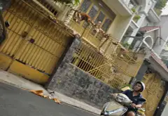 Nhà mặt tiền Bàu Cát 2, rộng 6m, hiếm có cho kinh doanh và ở... Bán nhà mặt phố tại Bảy Hiền, Hồ Chí Minh 02