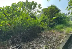 Bán đất mặt tiền lớn diện tích to giá rẻ vị trí khu UY NỖ tiện ích ngập lối 302 m giá dưới 2 tỏi... Bán đất tại Đông Anh, Hà Nội 10