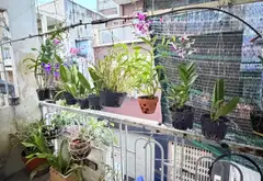 Nhà Mặt Phố Tân Bình - 3 Tầng, Sổ Nở Hậu, Hẻm Xe Hơi Thông... Bán nhà mặt phố tại Tân Hòa, Hồ Chí Minh 10