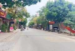 🌺ĐÓN ĐẦU DỰ ÁN VIN LIÊN HÀ - ĐỐI DIỆN KHU ĐẤU GIÁ, CÔNG VIÊN - KINH DOANH MỞ XƯỞNG... Bán đất tại Thư Lâm, Hà Nội 02