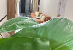Bán nhà riêng 3 tầng, Ông Ích Khiêm, diện tích 87.9 m²... Bán nhà riêng tại Hải Châu, Đà Nẵng 11