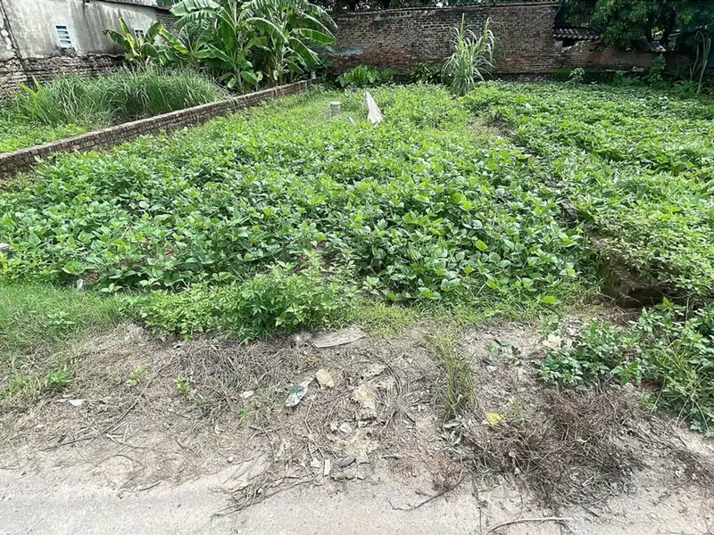 Bán đất mặt tiền 6m, hướng tây nam, ngay trục kinh doanh Gò Sỏi... Bán đất tại Trung Giã, Hà Nội 01