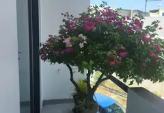 BÁN NHÀ ĐẸP TÔ HIỆU LIÊN CHIỂU ĐÀ NẴNG – 84M², NGANG 6M, FULL NỘI THẤT, GẦN BỆNH VIỆN UNG BƯỚU... Bán nhà riêng tại Hòa Khánh, Đà Nẵng 16