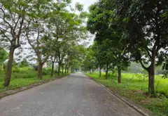 Bán đất khu đô thị Nam Từ Sơn, TP Từ Sơn, Bắc Ninh, diện tích lớn hướng Đông... Bán đất tại Từ Sơn, Bắc Ninh 08